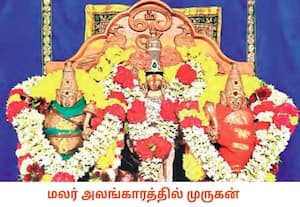 சிறப்பு மலர் அலங்காரத்தில் அருள்பாலித்த வல்லக்கோடடை முருகன். இடம்: ...