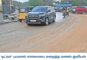 டிட்வா புயலால் கடற்கரையில் வீசிய பலத்த காற்றால், மெரினா, பட்டினம்பாக்கம் ...