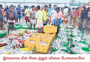 டிட்வா புயலால் வங்கக்கடலில் மீன்பிடிக்கச் செல்ல மீன்வளத்துறையினர் ...