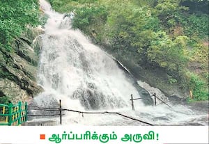 பொள்ளாச்சி அருகே ஆழியாறு கவியருவியில் திடீரென வெள்ளப்பெருக்கு ...