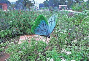 கோவை காந்திபுரத்தில் சமீபத்தில் திறந்து வைக்கப்பட்ட ...