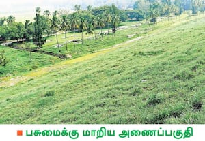 பருவமழையை தொடர்ந்து, பனி படர்ந்து காணப்படும் உடுமலை அமராவதி அணை கரை ...