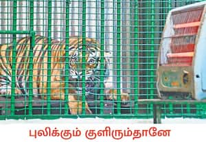 உபியின் கான்பூர் உயிரியல் பூங்காவில் நிலவும் கடும் குளிரை சமாளிக்க, ...