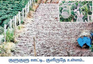 நீலகிரி மாவட்டம் குன்னூரில் காலை கடும் பனிப்பொழிவால் வெள்ளை நிறமாக ...