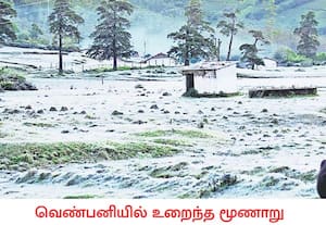 கேரள மாநிலம் இடுக்கி மாவட்டம் மூணாறு அருகே தேவிகுளம் எஸ்டேட் ஓ.டி.கே., ...