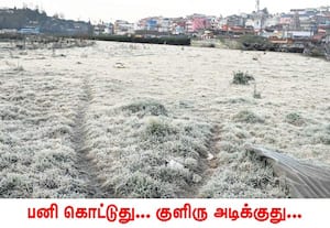 ஊட்டி ரேஸ்கோர்ஸ் மைதானத்தில் காணப்பட்ட உறைபனி புல்வெளியை வெள்ளை ...