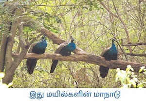 கொட்டும் பனியில், மரப்பந்தலில் அமர்ந்து தீவிர ஆலோசனையில் ...