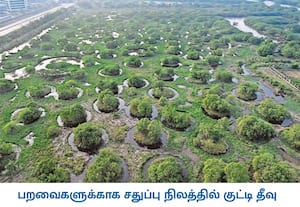 பள்ளிக்கரணை சதுப்பு நிலத்தில, பறவைகள் இளைப்பாற வசதியாக, குட்டி தீவு போல் ...