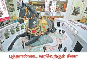 நம் அண்டை நாடான சீனாவின் பாரம்பரிய நாள்காட்டியின் படி, ஒவ்வொரு ஆண்டும் ...