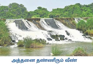 திருநெல்வேலி மாவட்டம், சுத்தமல்லியில் தாமிரபரணி ஆற்றின் குறுக்கே உள்ள ...