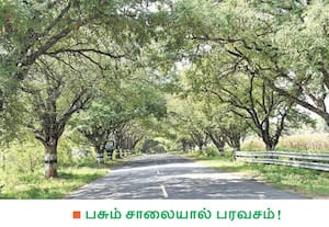 உடுமலை-தாராபுரம் மாநில நெடுஞ்சாலையில், சீலநாயக்கன்பட்டி பகுதியில் இரு ...