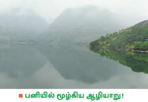 பொள்ளாச்சி அருகே ஆழியாறு அணை முழுவதும் பனிமூட்டம் சூழ்ந்து, ரம்மியமாக ...