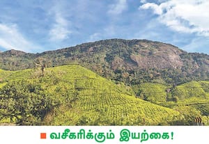 வால்பாறை அடுத்துள்ள கவர்க்கல் வியூ பாயின்ட் பகுதியில் இருந்து ...