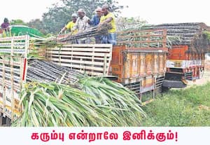 பொள்ளாச்சி மகாலிங்கபுரம் சர்க்கஸ் மைதானம் அருகே, பொங்கல் பண்டிகைக்காக ...