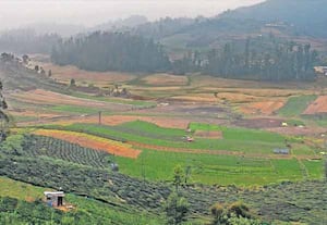 ஊட்டி அருகே எமரால்டு அணைக்கு தண்ணீர் செல்லும் போர்த்தியாடா ...