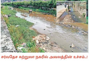 நீலகிரி மாவட்டம் ஊட்டி சர்வதேச சுற்றுலா தலமாக விளங்குகிறது. ஆண்டுக்கு 35 ...