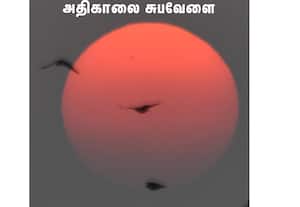 இன்னும் பனி விலகாத அதிகாலை வேளையில் சூரிய உதயத்தில் உணவுதேடி பறக்கும் ...