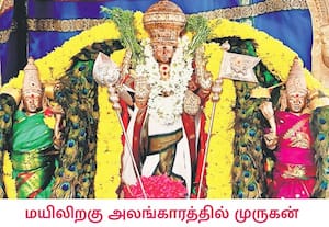 மயிலிறகு அலங்காரத்தில் பக்தர்களுக்கு அருள்பாலித்த வல்லக்கோட்டை ...