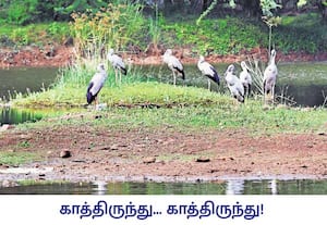 எந்த கூட்டணியில் சேரலாம் என்பதற்காக குளக்கரையில் ஆலோசனை கூட்டம் ...