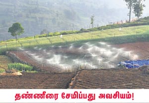 ஊட்டி அருகே தொரையட்டி பகுதியில் உள்ள காய்கறி தோட்டத்தில் சொட்டு நீர் ...