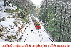 ஹிமாச்சல பிரதேசத்தின் தலைநகரான சிம்லாவில், எங்கும் வெண்பனி ...