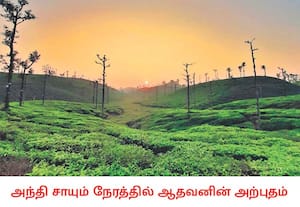 வால்பாறையில் குளு… குளு… சீசன் நிலவும் நிலையில், அந்தி சாயும் நேரத்தில் ...