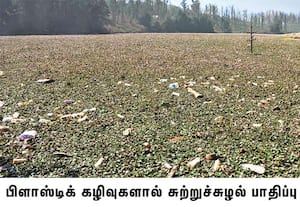 ஊட்டி காமராஜர் சாகர் அணையின் கரையோரம் வளர்ந்துள்ள ஆகாய தாமரை; ...