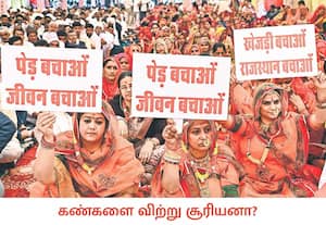 ராஜஸ்தான் மாநிலம் பிகானரில் சூரிய மின்சக்தி நிலையம் அமைப்பதற்காக ...