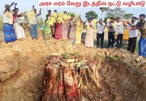 ராணிப்பேட்டை  மாவட்டத்தில் நவல்பூர் நெடுஞ்சாலை ஓரத்தில் சாலை பணிக்காக ...