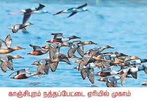 காஞ்சிபுரம் மாவட்டம், நத்தப்பேட்டை ஏரியில் எப்போதும் இல்லாத வகையில், 213 ...