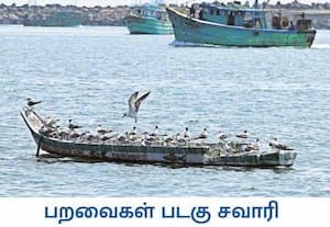 சென்னை காசிமேடு பகுதியில் உள்ள படகு ஒன்றில் சவாரி செய்வது போல் அமர்ந்து ...