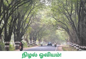சாலை விரிவாக்கத்துக்காக மரங்களை வெட்ட முடிவு செய்த போது எத்தனையோ ...