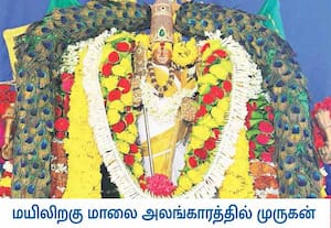 காஞ்சிபுரம் வல்லக்கோட்டை முருகன் கோவிலில், மயிலிறகு மாலை ...