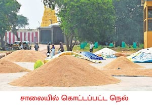 தென்காசி மாவட்டம், வாசுதேவநல்லூரில் அறுவடை செய்து சேமித்து வைக்க இடம் ...