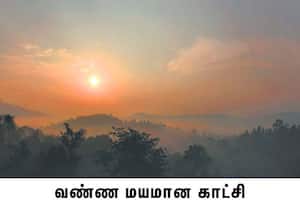 அதிகாலை நேரத்தில் பள்ளத்தாக்கு பகுதிகளில் தவழ்ந்து செல்லும் மேக ...