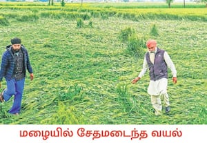 பஞ்சாப் மாநிலம் அமிர்தசரஸ் மாவட்டத்தில் சமீபத்தில் பலத்த காற்றுடன் ...