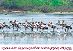 திருவொற்றியூர் மாட்டு மந்தை மேம்பாலம் அருகே உள்ள குட்டையில் கூட்டம், ...