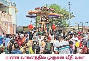 முருகன் கோவிலில் நடந்து வரும் சித்திரை மாத பிரம்மோத்சவ விழாவில் ...