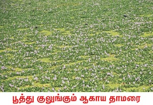  வெளித்தோற்றத்தை வைத்து எதையும், யாரையும் மதிப்பிடக்கூடாது என்று பாடம் ...