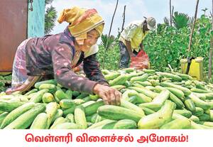 நாடு முழுவதும் கோடை வெயில் சுட்டெரித்து வரும் நிலையில், உடலை ...