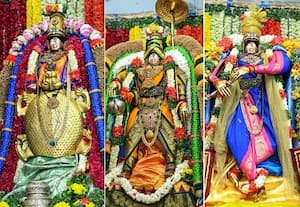 மதுரை சித்திரை திருவிழா தசாவதாரத்தில் பல்வேறு அவதாரத்தில் ...