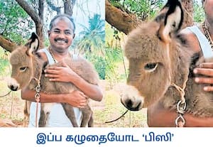 சட்டசபை தேர்தலில் தோல்வி அடைந்த பாமக முன்னாள் எம்எல்ஏ அருள் சமூக ...