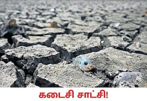  தென்மேற்கு பருவமழை சற்று முன்னரே பெய்யும் என்று சொன்னார்கள்… ...