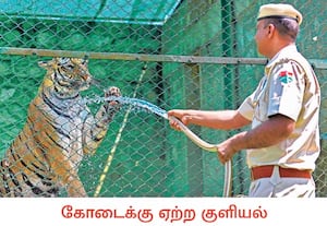 நாடு முழுவதும் கோடை வெயில் வாட்டி வதைக்கிறது. ராஜஸ்தான் தலைநகர் ...