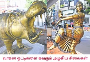 மேம்பாலங்களின் கீழ் பகுதியில் சென்னை மாநகராட்சி அமைத்துள்ள அழகிய ...