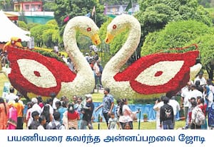 நீலகிரி மாவட்டத்தில் கோடை விழாவின் முதல் நிகழ்ச்சியான 21வது ரோஜா ...