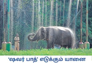கோடை வெயிலில் வாடும் விலங்குகளை குளிர்விக்க சென்னை வண்டலூர்  உயிரியல் ...