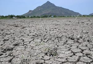  கோடை வெயிலின் தாக்கம் நாளுக்கு நாள் அதிகரித்து வரும் நிலையில், ...