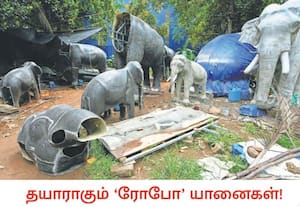 கேரளாவில் கோவில் திருவிழாக்கள் மற்றும் தனியார் நிகழ்ச்சிகளில் யானை ...