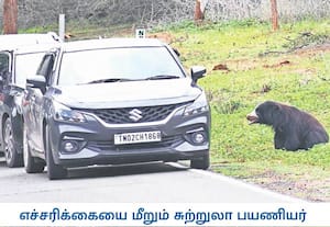 நீலகிரி மாவட்டம் மசினகுடி பகுதியில் உள்ள இணைப்பு சாலையில் வன ...